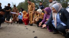 Wakil Gubernur Sumbar Vasko Ruseimy bersama Wali Kota Pariaman Yota Balad dan lainnya melepas tukik ke laut. (Foto: Kominfo Pariaman)