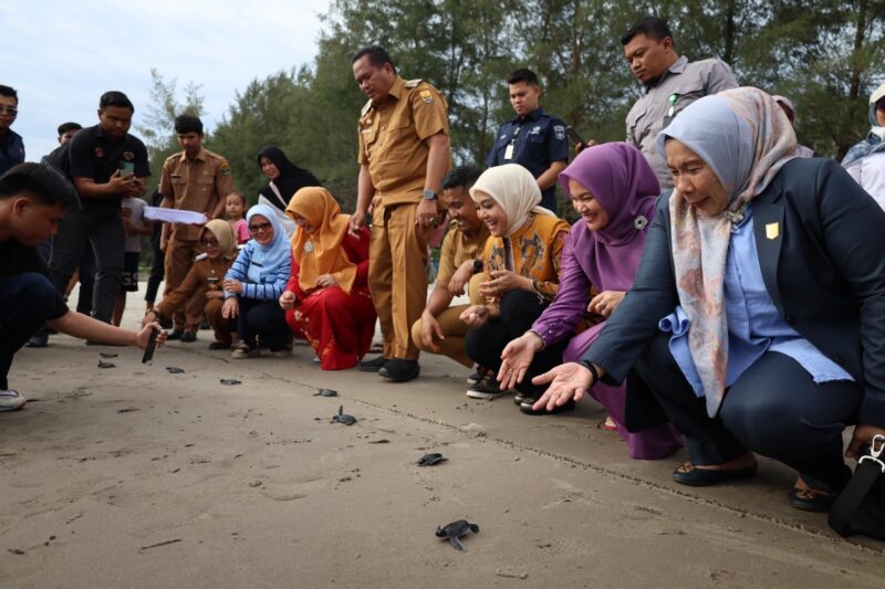 Wakil Gubernur Sumbar Vasko Ruseimy bersama Wali Kota Pariaman Yota Balad dan lainnya melepas tukik ke laut. (Foto: Kominfo Pariaman)