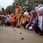Wakil Gubernur Sumbar Vasko Ruseimy bersama Wali Kota Pariaman Yota Balad dan lainnya melepas tukik ke laut. (Foto: Kominfo Pariaman)