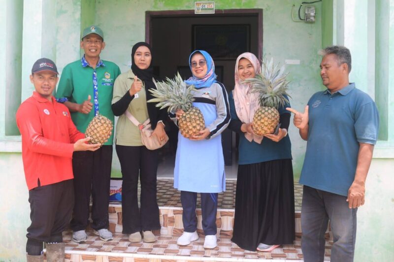 Wakil Bupati Dharmasraya, Leli Arni meninjau ketahanan pangan di Nagari Kurnia Selatan, Kecamatan Sungai Rumbai, Sabtu (13/9/2025). (Foto: Pemkab Dharmasraya) 