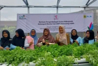 Ketua Bidang I TP-PKK Kota Padang, Ny. Srihayati Maigus Nasir meresmikan green house hidroponik KWT Kemuning Indah, Senin (29/9/2025). (Foto: FB Diskominfo Padang)  