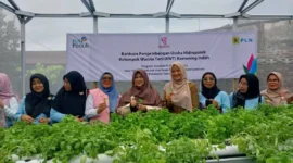 Ketua Bidang I TP-PKK Kota Padang, Ny. Srihayati Maigus Nasir meresmikan green house hidroponik KWT Kemuning Indah, Senin (29/9/2025). (Foto: FB Diskominfo Padang)  