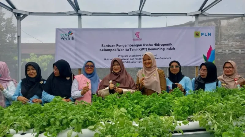 Ketua Bidang I TP-PKK Kota Padang, Ny. Srihayati Maigus Nasir meresmikan green house hidroponik KWT Kemuning Indah, Senin (29/9/2025). (Foto: FB Diskominfo Padang)  