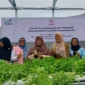 Ketua Bidang I TP-PKK Kota Padang, Ny. Srihayati Maigus Nasir meresmikan green house hidroponik KWT Kemuning Indah, Senin (29/9/2025). (Foto: FB Diskominfo Padang)  