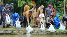 Wali Kota Pariaman Yota Balad bersama Komandan Kodaeral II Padang, Laksamana Muda TNI Sarimpunan Tanjung menebar benih ikan nila di Desa Kampung Kandang, Kecamatan Pariaman Timur, Selasa (9/9/2025). (Foto: Kominfo Pariaman)