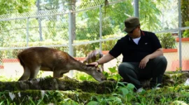 Wali Kota Padang Panjang, Hendri Arnis bermain dengan rusa di PDIKM, Minggu (21/9/2025). (Foto: Kominfo Padang Panjang)