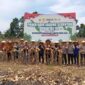 Bupati Pasbar, H. Yulianto menghadiri Panen Raya Jagung Serentak Kuartal III di Dusun II Bandarejo, Nagari Lingkuang Aua Bandarejo, Kecamatan Pasaman, Sabtu (27/9). (Foto: Diskominfo Pasbar)