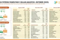 Pemerintah memastikan pasokan beras nasional tetap aman dan terkendali seiring berlangsungnya panen raya di berbagai daerah. (Foto: Kementan)