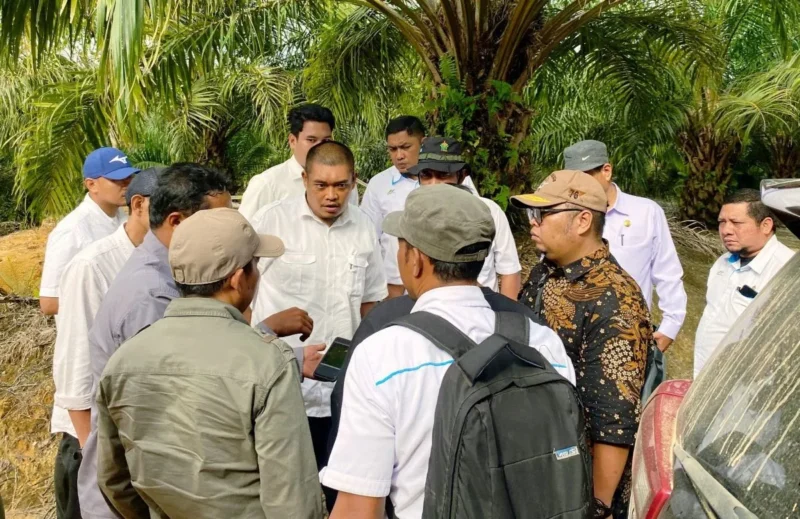 Forum Penataan Ruang Daerah Pasbar melakukan penilaian KKPR terhadap PKKPR milik PTPN IV Mandailing Natal di Air Bangis. (Foto: Diskominfo Pasbar)