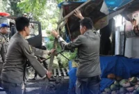 Satpol PP Padang menertibkan PKL yang memanfaatkan fasum sebagai tempat berjualan, Senin (22/9/2025). (Foto: Humas Satpol PP Padang)