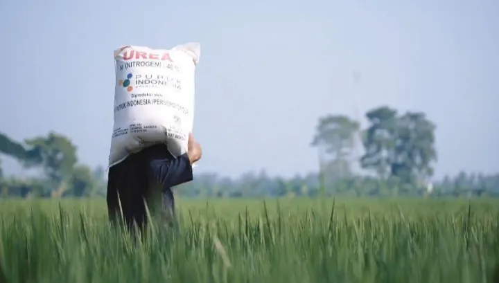 Kementan memastikan stok pupuk subsidi aman untuk musim tanam 2025. (Foto: Kementan)