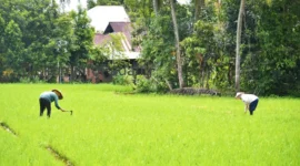 BWS Sumatera V bakal membangun JIAT di Kecamatan Bungkteb dan Kecamatan Lubuk Kilangan. (Foto: FB Diskominfo Padang)