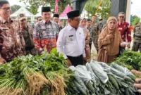 Bupati Padang Pariaman John Kenedy Azis dan rombongan meninjau GPM di halaman Masjid Raya Kabupaten Padang Pariaman. (Foto: Kominfo Padang Pariaman)