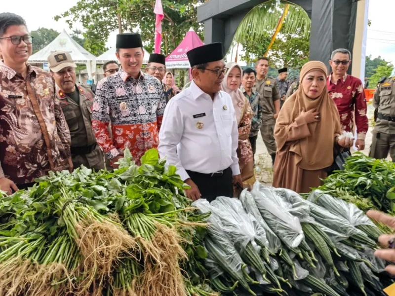 Bupati Padang Pariaman John Kenedy Azis dan rombongan meninjau GPM di halaman Masjid Raya Kabupaten Padang Pariaman. (Foto: Kominfo Padang Pariaman)
