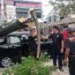 Pohon trambesi tumbang dan menimpa satu unit mobil di Jalan By Pass Km 7, tepatnya di depan SPH, Kamis (9/10/2025) pagi. (Foto: Humas BPBD Padang)
