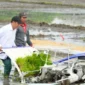 Menteri Pertanian Andi Amran Sulaiman masuk dalam daftar sepuluh menteri dengan kinerja terbaik di Kabinet Merah Putih. (Foto: Kementan)