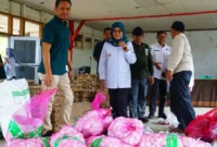 Wakil Bupati Dharmasraya Leli Arni meninjau pasar murah di Nagari Sungai Duo, Kecamatan Sitiung, Rabu (15/10/2025). (Foto: Pemkab Dharmasraya)