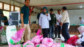 Wakil Bupati Dharmasraya Leli Arni meninjau pasar murah di Nagari Sungai Duo, Kecamatan Sitiung, Rabu (15/10/2025). (Foto: Pemkab Dharmasraya)