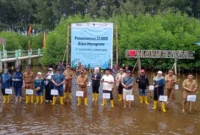 Wakil Bupati Pessel, Risnaldi Ibrahim (tengah) didampingi GM Telkom Sumbar dan Jambi, Mohamad Ikhsan, Pinca Bank Nagari Painan, Ira Angraeni, Kalaksa BPBD Pessel, Yuskardi, para kepala OPD serta tamu undangan lainnya saat melakukan penanaman mangrove. (Foto: Dok. Yoniks)