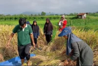 Pelaku usaha mikro, pedagang, dan petani kini bisa mengakses permodalan tanpa bunga melalui Tabungan Bersama (Berkah Serambi Mekkah/Subsidi Bunga). (Foto: Kominfo Padang Panjang)