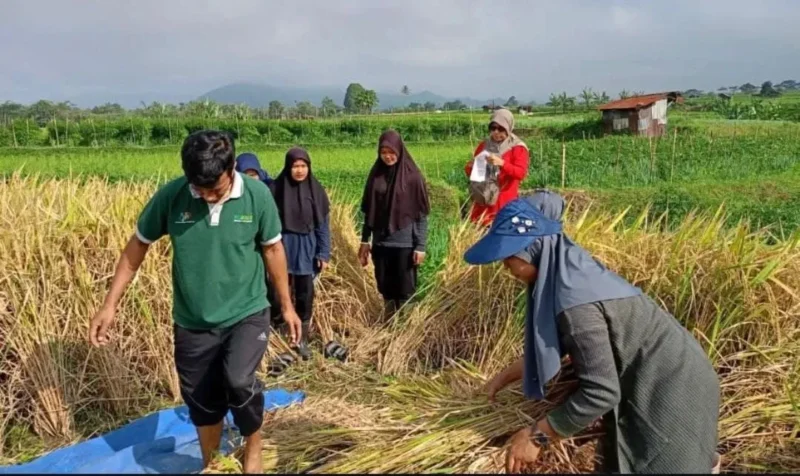 Pelaku usaha mikro, pedagang, dan petani kini bisa mengakses permodalan tanpa bunga melalui Tabungan Bersama (Berkah Serambi Mekkah/Subsidi Bunga). (Foto: Kominfo Padang Panjang)
