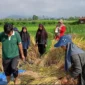 Pelaku usaha mikro, pedagang, dan petani kini bisa mengakses permodalan tanpa bunga melalui Tabungan Bersama (Berkah Serambi Mekkah/Subsidi Bunga). (Foto: Kominfo Padang Panjang)