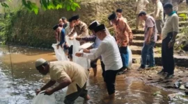Wakil Bupati Padang Pariaman, Rahmat Hidayat menebarkan 5.000 ekor benih ikan Nila dan Ikan Mas di Batang Aia Sungai Abu, tepat di depan Masjid Raya Toboh Gadang, Jumat (10/10/2025). (Foto: Kominfo Padang Pariaman)