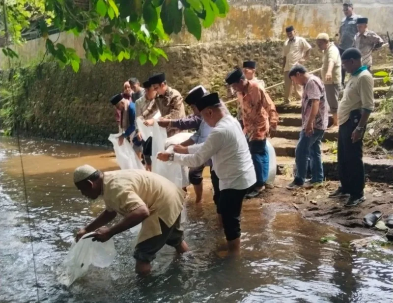 Wakil Bupati Padang Pariaman, Rahmat Hidayat menebarkan 5.000 ekor benih ikan Nila dan Ikan Mas di Batang Aia Sungai Abu, tepat di depan Masjid Raya Toboh Gadang, Jumat (10/10/2025). (Foto: Kominfo Padang Pariaman)