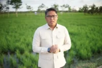 Wakil Menteri Pertanian (Wamentan) Sudaryono. (Foto: Kementan)