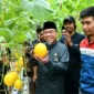 Wakil Wali Kota Padang, Maigus Nasir menghadiri panen perdana Melon Golden Premium Hidroponik di Bungtekab, Jumat (3/10/2025). (Foto: Prokopim Padang)