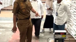 Bupati Pessel, Hendrajoni bersama Pimpinan Wilayah Bulog Sumbar, R Darma Wijaya saat meninjau gudang Bulog Sago. (Foto: Dok. Kominfo)