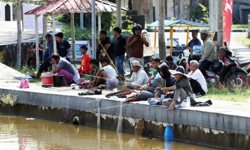 Ratusan pemancing meramaikan Festival Mancing Mania Ratu Prabu se-Sumbar Piala Wali Kota Pariaman Tahun 2025 di Talao Pauh, Desa Pauh Barat, Kecamatan Pariaman Tengah, Kota Pariaman, Sabtu (15/11/2025). (Foto: Kominfo Pariaman)