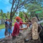 Petugas sedang membersihkan pohon tumbang. (Foto: Ist)