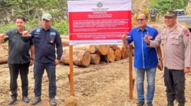 Anggota DPRD Pessel, Novermal Yuska bersama aparat hukum saat turun ke lokasi penemuan kayu diduga ilegal di hulu sungai Batang Bayang, di Jorong Sariak Bayang, Nagari Alahan Panjang, Kecamatan Lembah Gumanti, Solok. (Foto: Dok. Novermal)