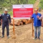 Anggota DPRD Pessel, Novermal Yuska bersama aparat hukum saat turun ke lokasi penemuan kayu diduga ilegal di hulu sungai Batang Bayang, di Jorong Sariak Bayang, Nagari Alahan Panjang, Kecamatan Lembah Gumanti, Solok. (Foto: Dok. Novermal)