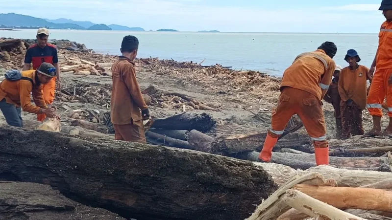 Petugas DLH Padang sedang bekerja membersihkan sampah pasca bencana di Pantai Padang. (Foto: DLH Padang)