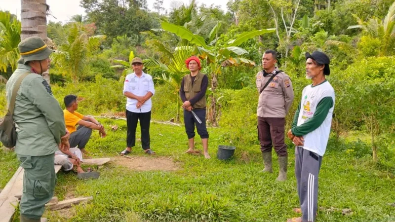 Tim BKSDA Resor Pessel bersama personel kepolisian dan masyarakat meninjau lokasi sapi yang diterkam harimau di Nagari Lubuk Betung, Kecamatan Airpura. (Foto: Dok. BKSDA)