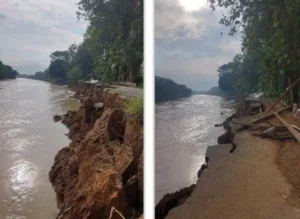 Kondisi tebing Sungai Sawah Liek sebelum perbaikan.