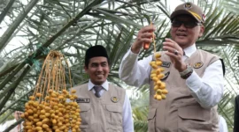Menhaj RI Mochamad Irfan Yusuf saat meninjau Kurma Park di Pasuruan, Jawa Timur, Kamis (22/1/2026). (Foto: Kemenhaj)