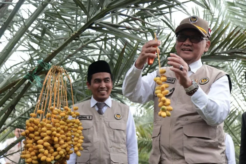 Menhaj RI Mochamad Irfan Yusuf saat meninjau Kurma Park di Pasuruan, Jawa Timur, Kamis (22/1/2026). (Foto: Kemenhaj)