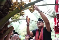 Menteri Haji dan Umrah RI Mochamad Irfan Yusuf meninjau Kebun Kurma Jugil Gangga di Kabupaten Lombok Utara, NTB, Sabtu (17/1/2026). (Foto: Kemenhaj)