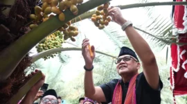 Menteri Haji dan Umrah RI Mochamad Irfan Yusuf meninjau Kebun Kurma Jugil Gangga di Kabupaten Lombok Utara, NTB, Sabtu (17/1/2026). (Foto: Kemenhaj)