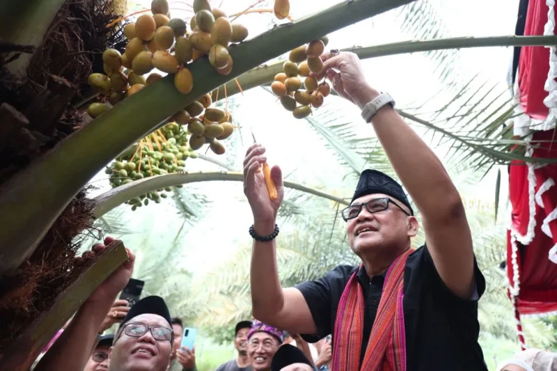 Menteri Haji dan Umrah RI Mochamad Irfan Yusuf meninjau Kebun Kurma Jugil Gangga di Kabupaten Lombok Utara, NTB, Sabtu (17/1/2026). (Foto: Kemenhaj)