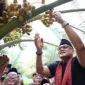 Menteri Haji dan Umrah RI Mochamad Irfan Yusuf meninjau Kebun Kurma Jugil Gangga di Kabupaten Lombok Utara, NTB, Sabtu (17/1/2026). (Foto: Kemenhaj)