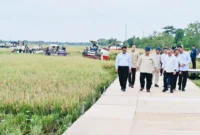 Presiden Prabowo Subianto saat menghadiri Panen Raya di Desa Kertamukti, Kabupaten Karawang, Rabu (7/1/2026). (Foto: BPMI Setpres)