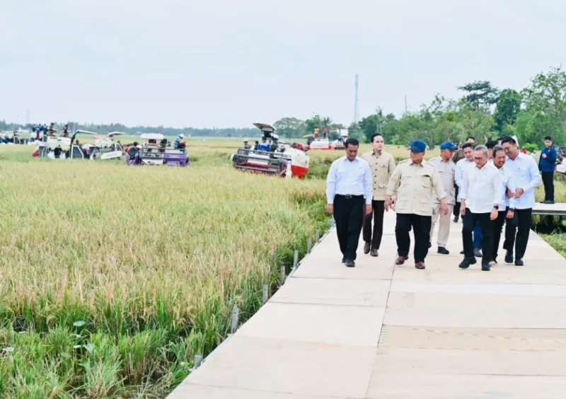 Presiden Prabowo Subianto saat menghadiri Panen Raya di Desa Kertamukti, Kabupaten Karawang, Rabu (7/1/2026). (Foto: BPMI Setpres)