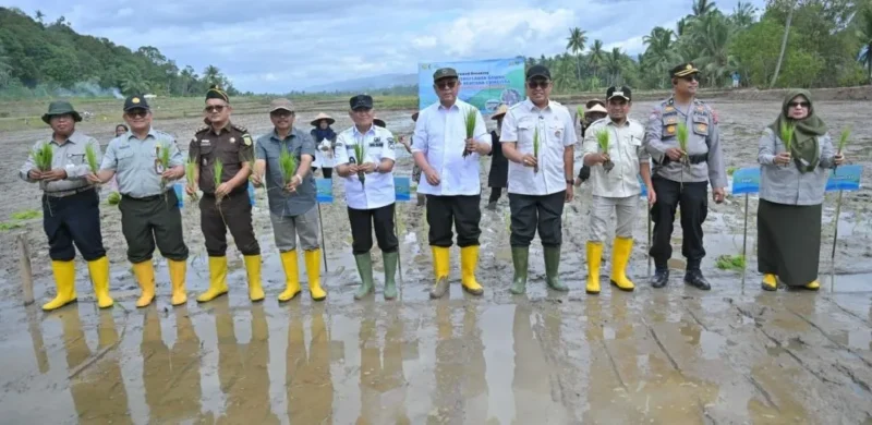 Pemprov Sumbar memulai rehabilitasi lahan pertanian di Nagari Salayo, Kecamatan Kubung, Kabupaten Solok, Kamis (15/1/2026). (Foto: ADPSB)