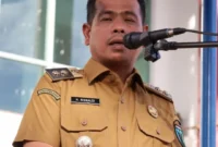 Wakil Bupati Pessel, Risnaldi Ibrahim. (Foto: Dok. Prokopim)