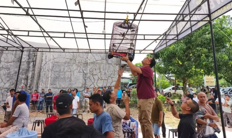 Sekda Pasbar, Doddy San Ismail membuka Lomba Burung Berkicau di Gantangan Bhayangkara BC, Minggu (11/1/2026). (Foto: Kominfo Pasbar)
