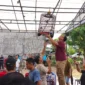 Sekda Pasbar, Doddy San Ismail membuka Lomba Burung Berkicau di Gantangan Bhayangkara BC, Minggu (11/1/2026). (Foto: Kominfo Pasbar)